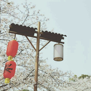 高清windows免费版观看美女强奸
