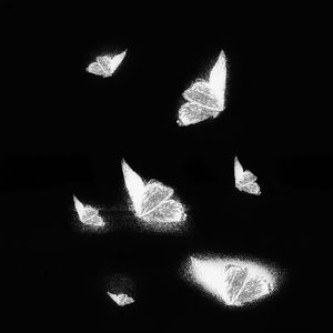 高清windows免费版观看美女强奸
